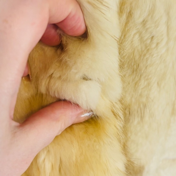 Vintage Leader Furs Fox fur 1970's Genuine Fur Coat Winter Coat SZ medium - Picture 8 of 9